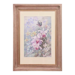 Exquisite Orchid & Hummingbird Watercolor by William Morley, Antique Oversize