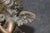 1960s 1960's Patinated Winged Putti Sculpture on Marble Base For Sale - Image 5 of 10