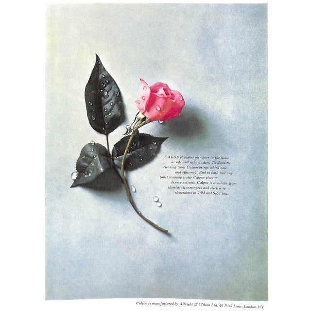 Yellow Mozart Bicentenary Glyndebourne Festival 1956 Programme Book For Sale - Image 8 of 12