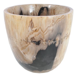 Petrified Wood Plant Pot by Xyleia Petrified Wood For Sale