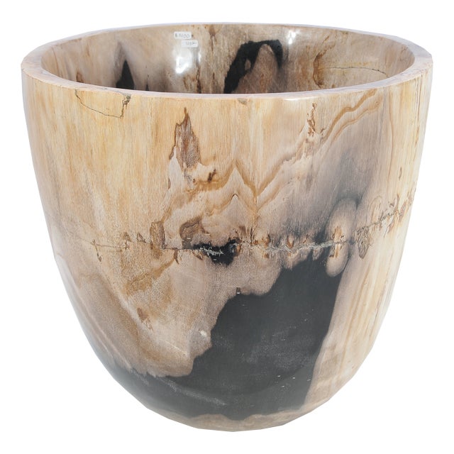 Petrified Wood Plant Pot by Xyleia Petrified Wood For Sale