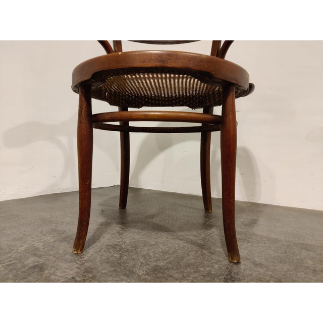 Dark brown bentwood dining armchair or bistro chair with original webbing We date it at early 1950s. Good condition with...
