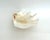 Large Vintage Clam Shell For Sale In Los Angeles - Image 6 of 8