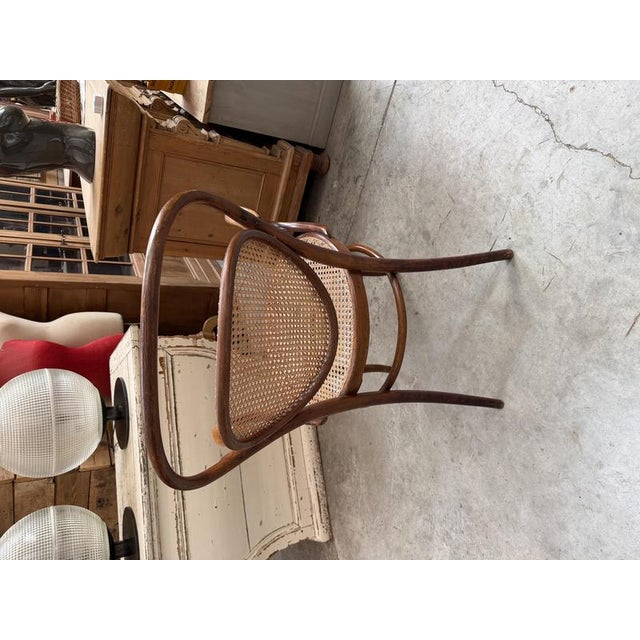 Bentwood and Beech Armchair from DLG Thonet For Sale - Image 6 of 11
