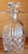 This is a vintage cut crystal Waterford Lismore liquor decanter with original stopper. The decanter measures 9.5 inches...