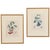 A Set of Four French Botanical Fruit Prints, After Pierre François Turpin (French, 1775–1840), Later 19th Century. Each...