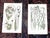 Green Antique 19th Century Botanical Lithographs - Set of 12 For Sale - Image 8 of 10