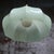 1950s French Green Opaline Glass and Brass Gallery Pendant Lamp For Sale - Image 5 of 8
