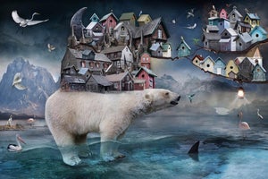 Babel by Marcin Owczarek | Photography on Fine Art Hahnemühle Epson Baryta of a bear with houses