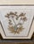 Paper Lussier Lajoie Framing Botanical Prints, Set of Five For Sale - Image 7 of 12