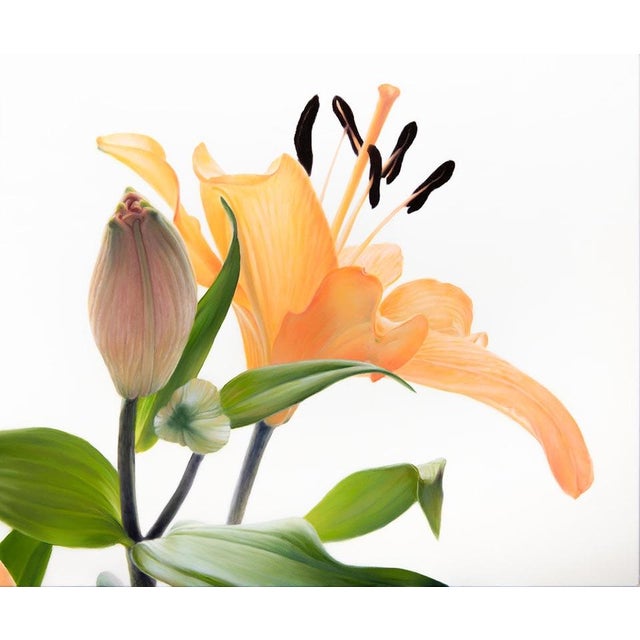 At First Light - Oil on Canvas - Floral For Sale