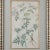 Jacquin Flower Engravings - Set of 4 For Sale In Savannah - Image 6 of 12