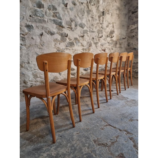 Vintage French Bentwood Bistro Chairs from Luterma, 1950s-1970s, Set of 6 For Sale - Image 16 of 18