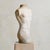 Ivory Vintage French Plaster Male Torso Sculpture For Sale - Image 8 of 18