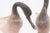 Murano Pair of Vintage Italian Gino Cenedese Vetri Murano Frosted Glass Birds For Sale - Image 4 of 6