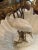 Danny's Fine Porcelain Pair of Standing Pelicans in Porcelain Bowl. Very fine condition as shown. Marked on bottom of...