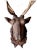 Cabin Antique Black Forest Stag Deer Head Wood Carved Sculpture Carving For Sale - Image 3 of 7