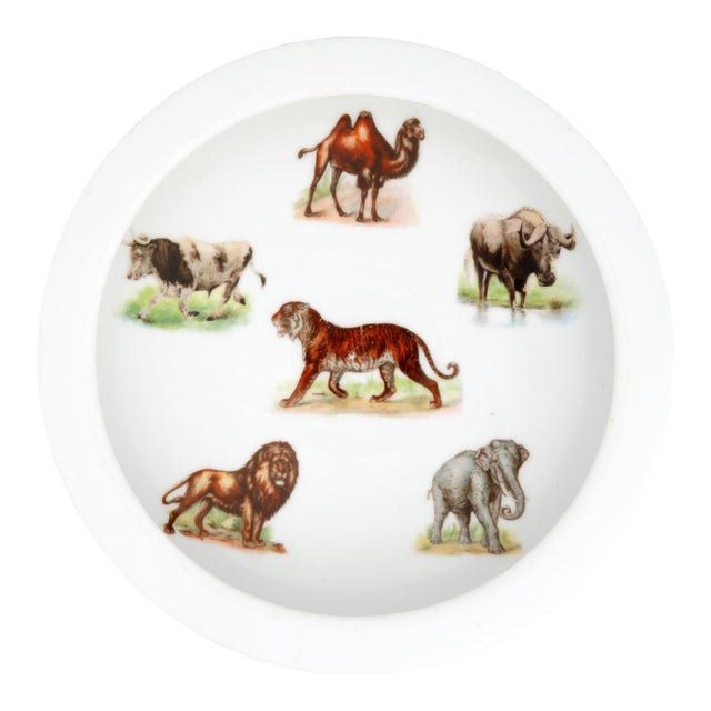 Antique German Illustrated Child's Dish Animal Full Color Early 1900s For Sale