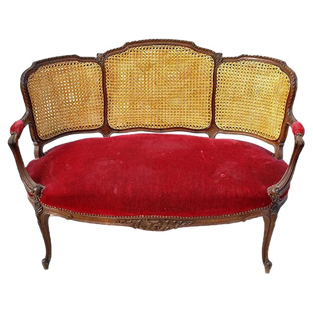 Louis XV Style Mahogany and Cane Lounge Chair For Sale