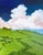 Malibu Pacific Hills Lynne French 16x20 California Coastal Landscape For Sale - Image 4 of 6