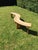 Vintage Benches from Pierre Chapo, 1973, Set of 2 For Sale - Image 14 of 18