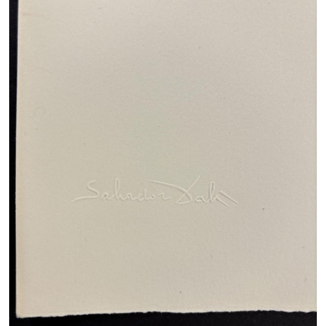 Salvador Dali "Ultra Surrealist Corpuscular" Print, 1971 For Sale - Image 10 of 12