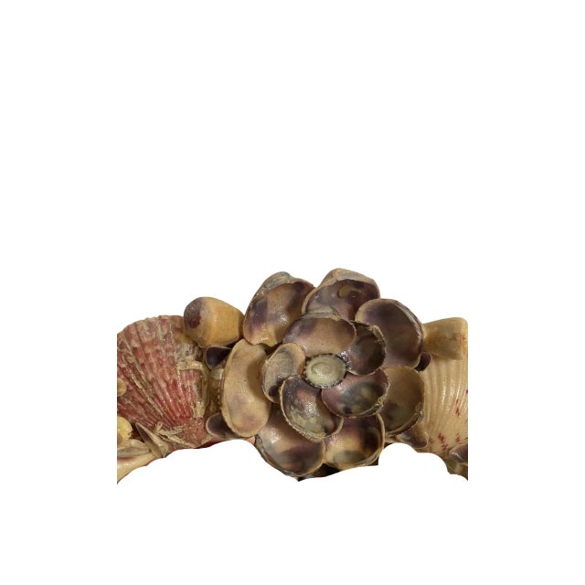 Vintage Sea Shell Wall Mirror, Circa 1960’s For Sale - Image 4 of 7