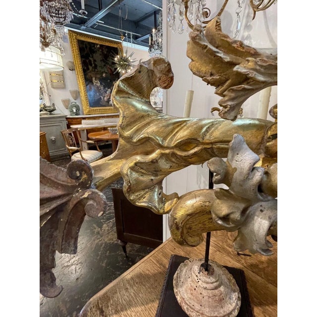 18th Century Giltwood Element Fish Sculpture For Sale - Image 4 of 8