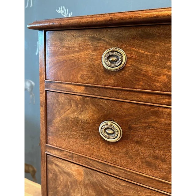 Brown Small Antique Chest of Drawers For Sale - Image 8 of 10