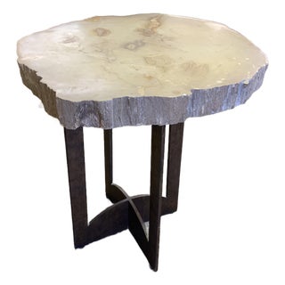 20th Century Petrified Wood Slab Table For Sale