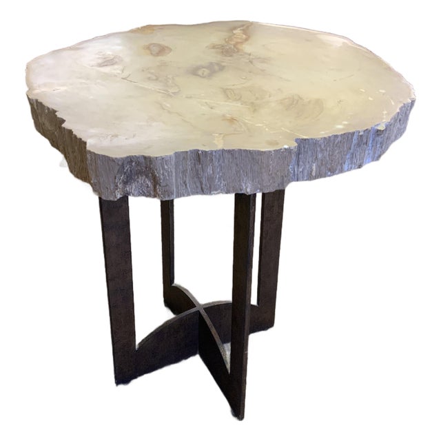 20th Century Petrified Wood Slab Table For Sale