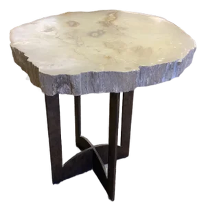 20th Century Petrified Wood Slab Table