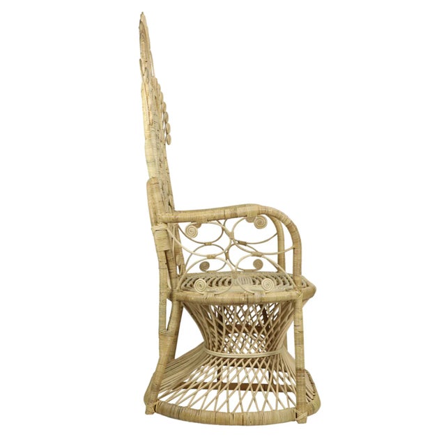 Matthew Izzo Lollipop Peacock Rattan Armchair For Sale - Image 4 of 7