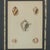 Set of Eight Antique Hand Colored Seashell Prints For Sale - Image 13 of 18