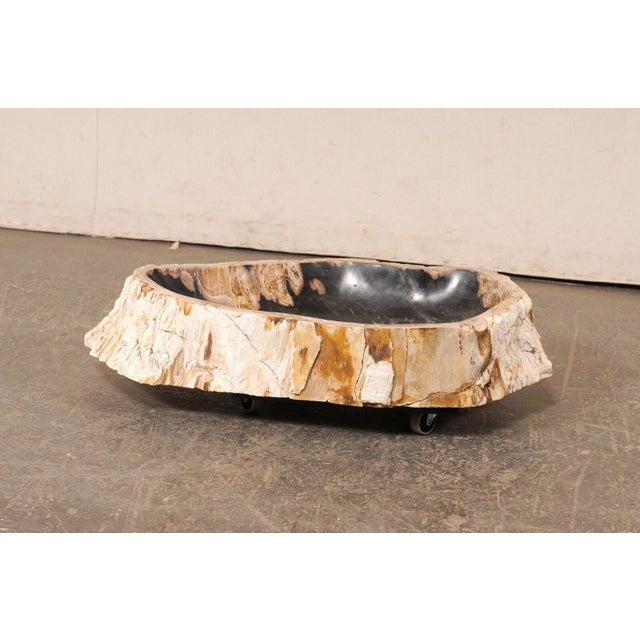 Live-Edge Petrified Wood Sink, Oblong Shape For Sale - Image 9 of 10