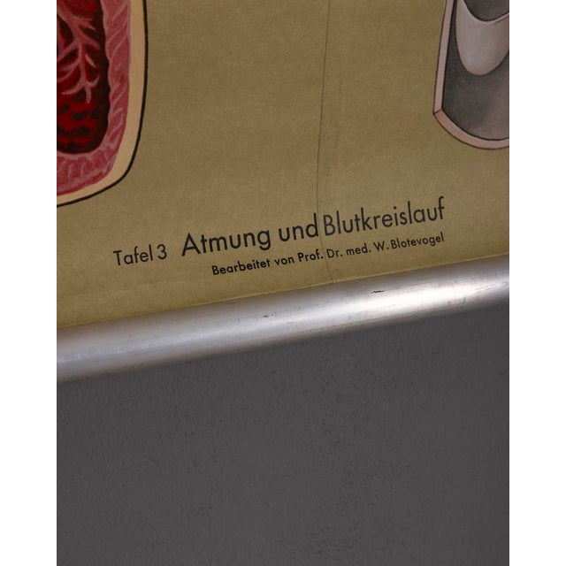1970s Vintage School Poster Breathing and Blood Circulation from Lehrmittelverlag Wilhelm Hagemann, 1970s For Sale - Image 5 of 14