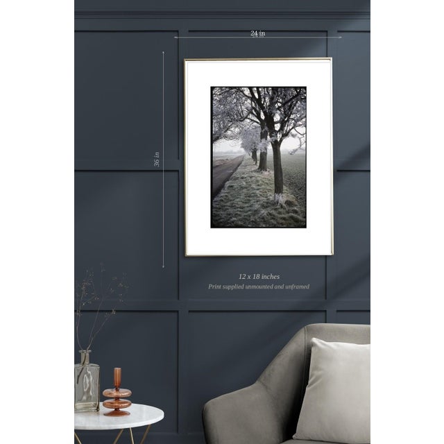 Not Yet Made - Made To Order Paul Cooklin, Frosty Trees, Occold, Suffolk, Edition of 50 For Sale - Image 5 of 7