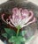 1950s Extra-Large Mid-Century Chinese Cloisonné Ginger Jar/Urn With Chrysanthemum and Plum Flowers For Sale - Image 5 of 9
