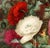 English Porcelain Botanical Plaque of Double Poppies, Attributed to Derby, Circa 1825 For Sale - Image 9 of 9