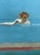 2020s Gideon Appah, Swimmer (2023), Numbered 12/75 and Hand-Signed by the Artist, Printed in London, Uk. For Sale - Image 5 of 17