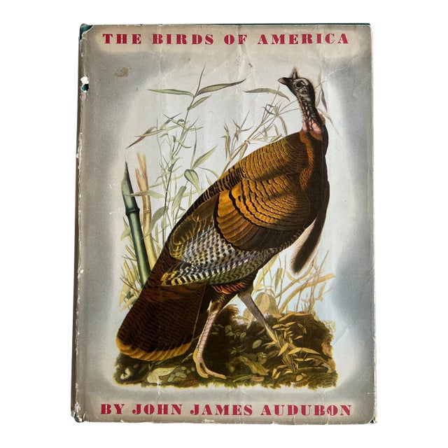 The Birds of America by John James Audubon, 1961, 3rd Print For Sale