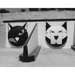 1977 River Cats Los Angeles River Photograph by Don Ware For Sale