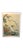 Traditional Large Mid 18th Century Tai Ling Silk Painting – "Silver Pheasant" After Giuseppe Castiglione For Sale - Image 3 of 4