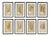 Framed Fern Prints - Set of 8 from Kenneth Ludwig Chicago For Sale