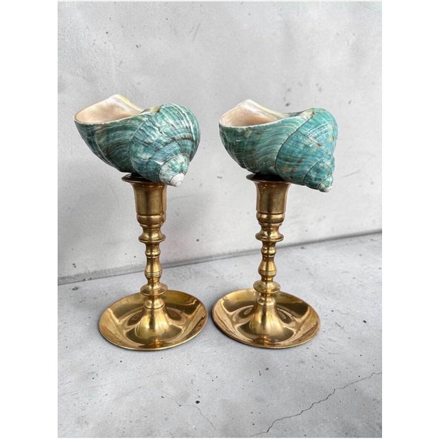 A striking pair of vintage solid brass candlesticks topped with natural green turbo shells. The warm polished brass...