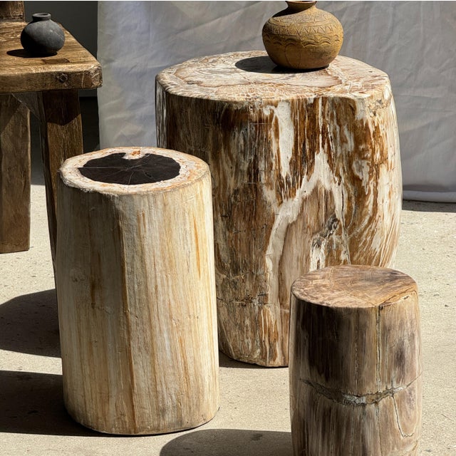 Large Side Table in White and Grey Petrified Wood For Sale - Image 4 of 18