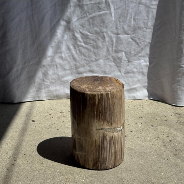 1980s Small Side Table in Beige-Grey and Petrified Wood, 1980s For Sale - Image 5 of 18