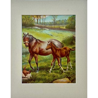 Mid 20th Century Horse & Colt Original Chromolithograph Limited Edition by Artist Russ Johnson For Sale