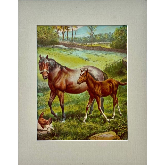 Mid 20th Century Horse & Colt Original Chromolithograph Limited Edition by Artist Russ Johnson For Sale