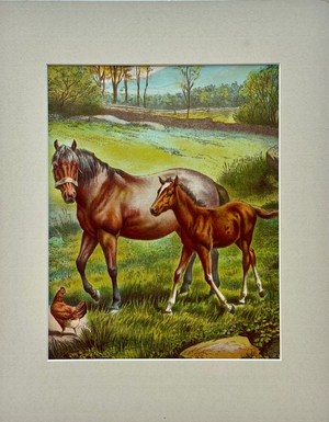 Mid 20th Century Horse & Colt Original Chromolithograph Limited Edition by Artist Russ Johnson